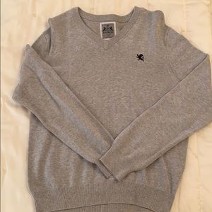 Express v neck long sleeve sweater bundle